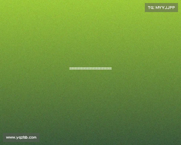 中国长板滑板大赛激情开幕全国顶尖选手齐聚共赴荣耀竞技盛宴